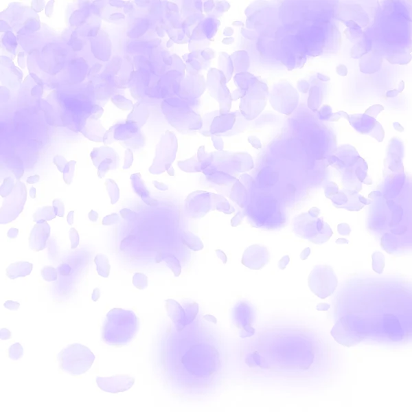 紫罗兰花瓣飘落。优雅的浪漫 — 图库矢量图片