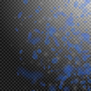 Koyu mavi çiçek yaprakları dökülüyor. Büyüleyici. 