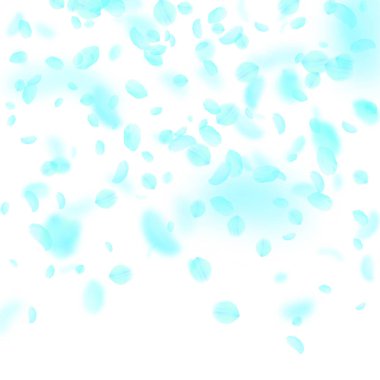 Turkuaz çiçek yaprakları aşağı düşen. Duygusal ro