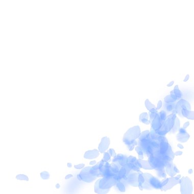 Koyu mavi çiçek yaprakları dökülüyor. Seçkin Roma