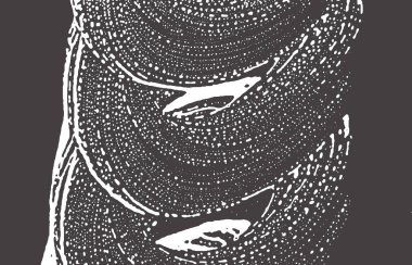 Grunge dokusu. Kederli siyah gri iz. A