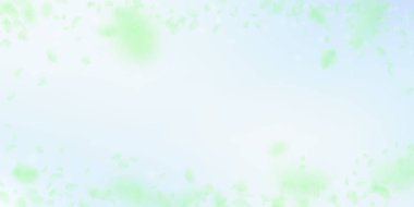 Yeşil çiçek yaprakları dökülüyor. Bunaltıcı fırtına.