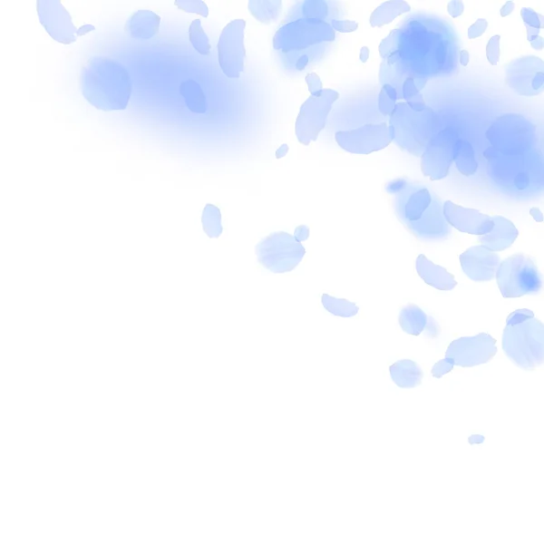 Pétales de fleurs bleu foncé tombant. Romain réel — Image vectorielle