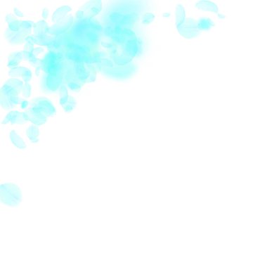 Turkuaz çiçek yaprakları aşağı düşen. İnanılmaz r