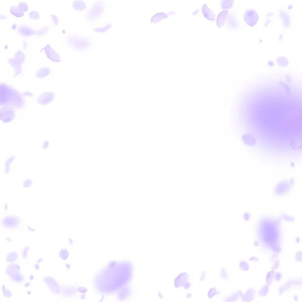 Violetta blomblad faller ner. Faktisk romantik — Stock vektor