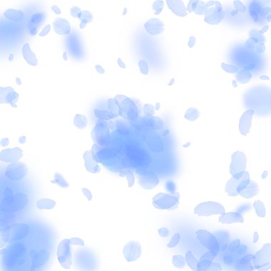 Koyu mavi çiçek yaprakları dökülüyor. Hatırlanmaya değer ro