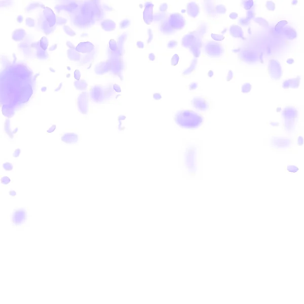 紫罗兰花瓣飘落下来。吸引人的人 — 图库矢量图片