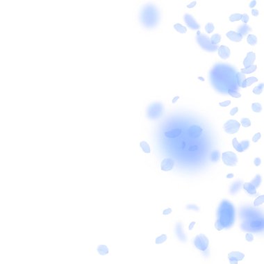 Koyu mavi çiçek yaprakları dökülüyor. Güzel Romanti.