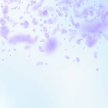 Mor çiçek yaprakları dökülüyor. İyi bir romantik.