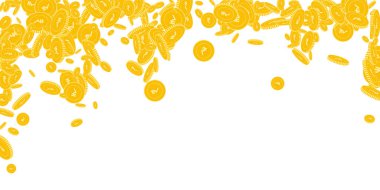 Hint paralarının düşüşü. Yüzen INR dağılımı