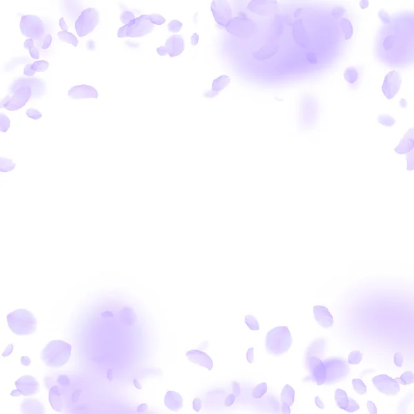 Pétalos de flores violetas cayendo. Romance hipnótico — Archivo Imágenes Vectoriales