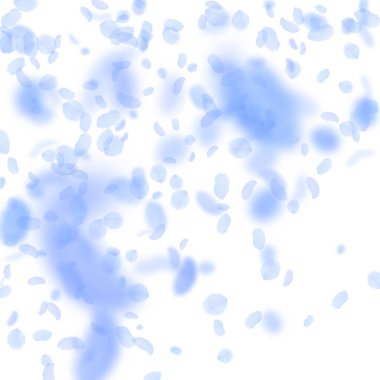 Koyu mavi çiçek yaprakları düşüyor. Kayda değer r