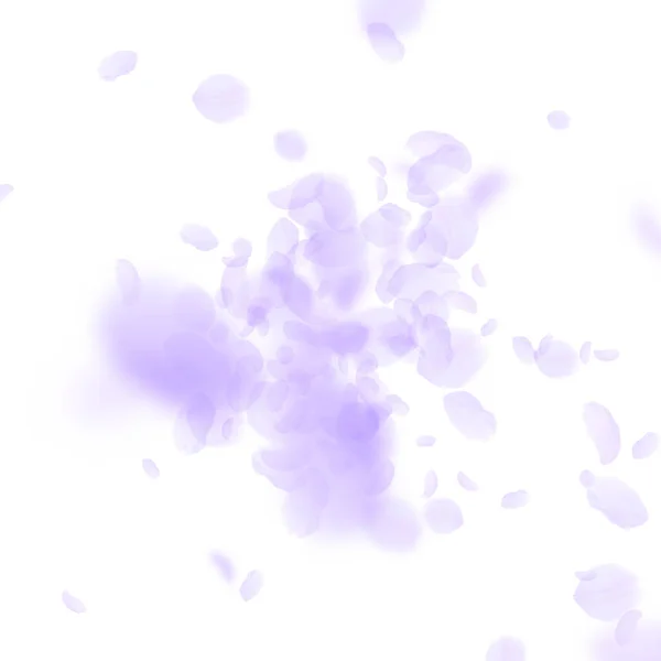 Pétalos de flores violetas cayendo. Romántico fresco — Archivo Imágenes Vectoriales