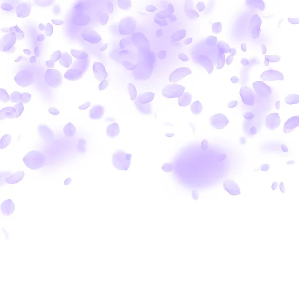 Des pétales de fleurs violettes tombent. Romans exceptionnels — Image vectorielle