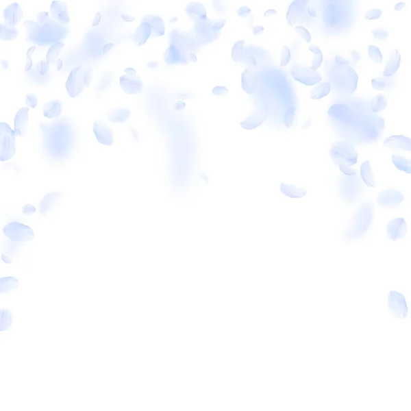 Pétales de fleurs bleu clair tombant. Romain vivant — Image vectorielle