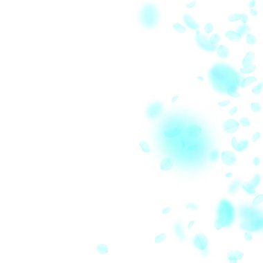 Turkuaz çiçek yaprakları aşağı düşen. Dramatik rom