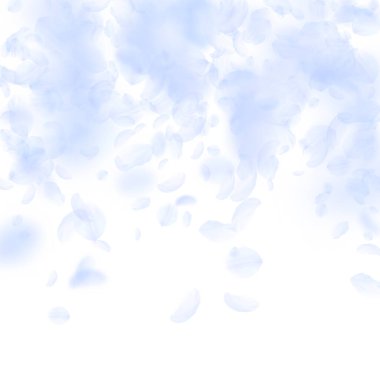 Açık mavi çiçek yaprakları dökülüyor. Nefes kesici.