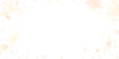 Aşağı düşen sarı turuncu çiçek yaprakları. Değerli