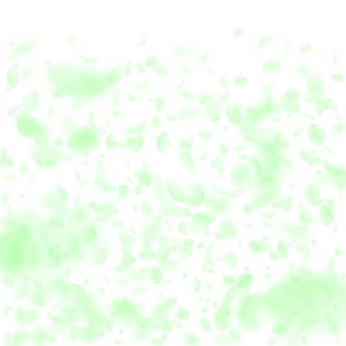 Yeşil çiçek yaprakları dökülüyor. Müthiş romantikti.