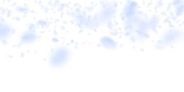 Açık mavi çiçek yaprakları dökülüyor. Seçkin rom