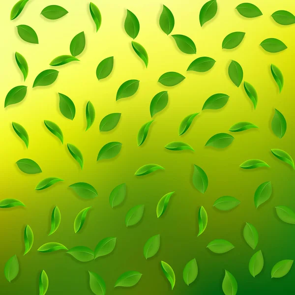 Falling green leaves. Fresh tea random leaves flyi — Stock Vector