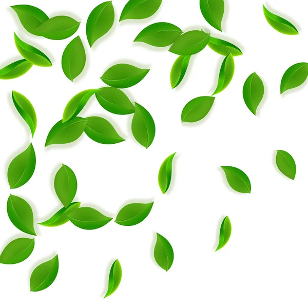 Falling green leaves. Fresh tea neat leaves flying — Stock Vector
