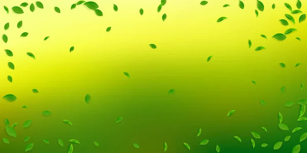 Fallende grüne Blätter. Chaotische Blätter des frischen Tees fliegen — Stockvektor