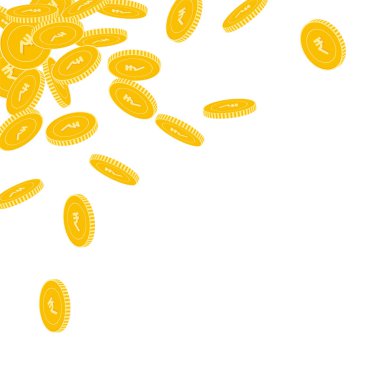 Hint paralarının düşüşü. Dağınık büyük INR madeni paraları