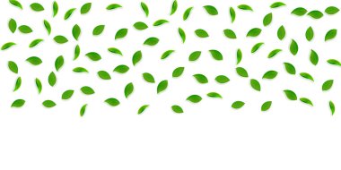 Düşen yeşil yapraklar. Taze çay rastgele yapraklar uçuşuyor