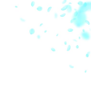 Turkuaz çiçek yaprakları dökülüyor. Harika Ro.