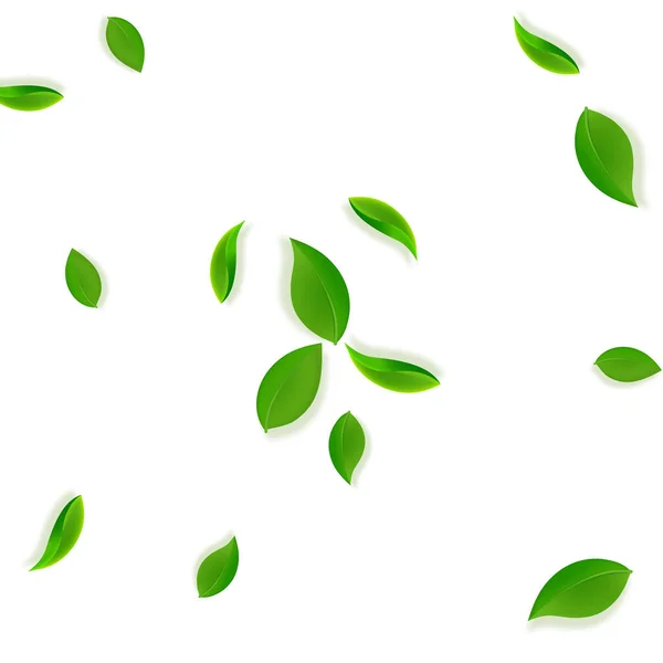 Feuilles vertes tombantes. Thé frais feuilles soignées volant — Image vectorielle