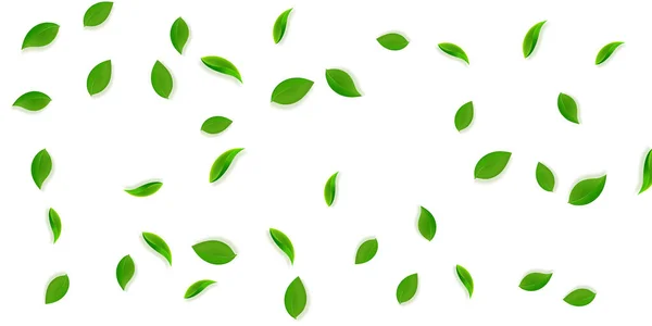 Foglie verdi cadenti. Tè fresco foglie ordinate volare — Vettoriale Stock