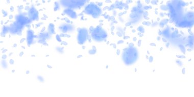 Koyu mavi çiçek yaprakları dökülüyor. İdeal romantizm