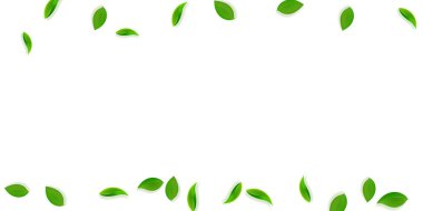 Düşen yeşil yapraklar. Taze çay, temiz yapraklar uçuşuyor.