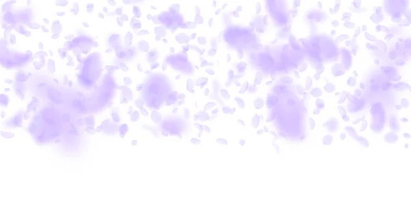 Фіолетові пелюстки квітів падають вниз. Художня література — стоковий вектор
