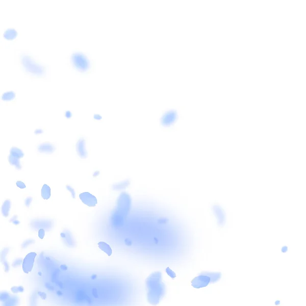 Pétales de fleurs bleu foncé tombant. Roms séduisants — Image vectorielle