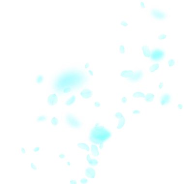 Turkuaz çiçek yaprakları dökülüyor. Sevimli rom.