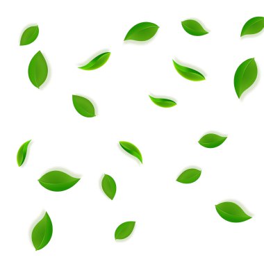 Düşen yeşil yapraklar. Taze çay, temiz yapraklar uçuşuyor.