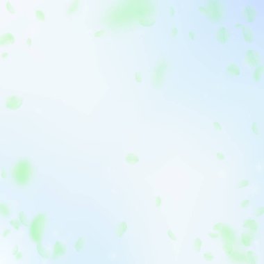 Yeşil çiçek yaprakları dökülüyor. Popüler romantik