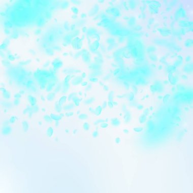 Turkuaz çiçek yaprakları dökülüyor. Muhteşem rom.