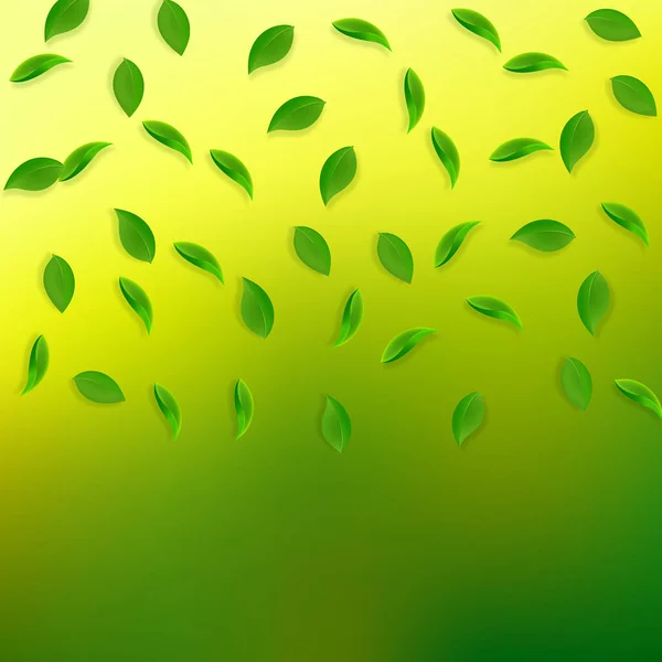 Fallande gröna blad. Färskt te slumpmässigt blad flyi — Stock vektor