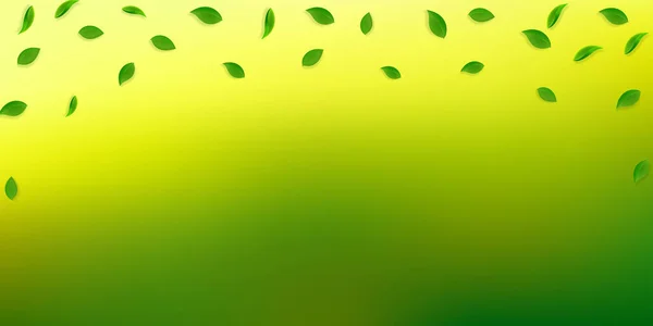 Vallende groene bladeren. Verse thee willekeurige bladeren flyi — Stockvector