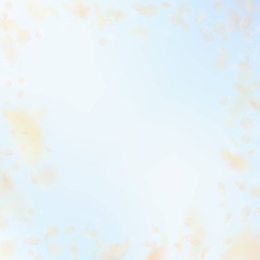 Sarı turuncu çiçek yaprakları dökülüyor. Lezzetli.