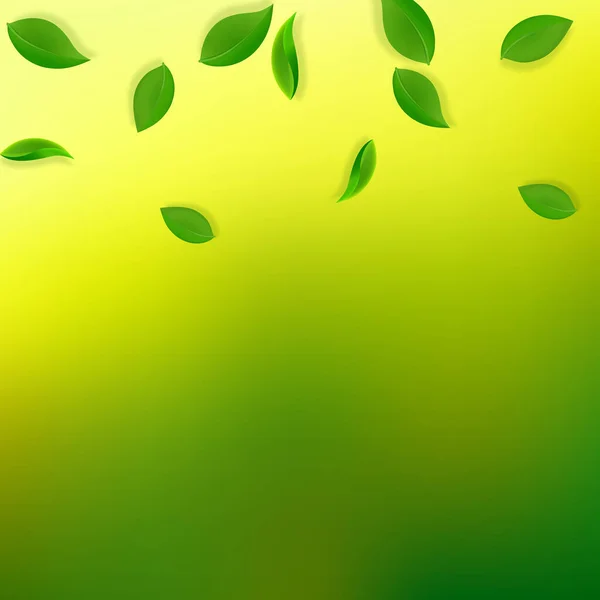 Feuilles vertes tombantes. Thé frais feuilles soignées volant — Image vectorielle