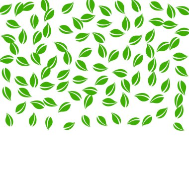 Düşen yeşil yapraklar. Taze çay rastgele yapraklar uçuşuyor