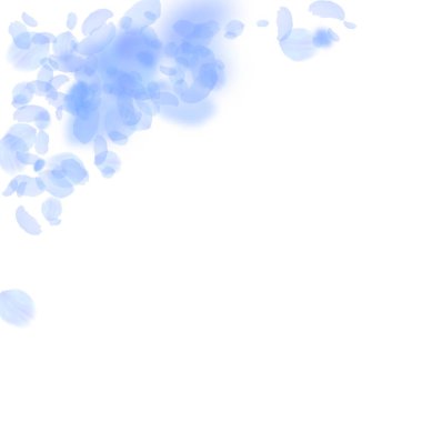 Koyu mavi çiçek yaprakları dökülüyor. Yakışıklıymış.