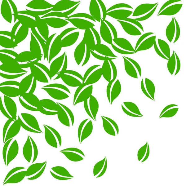 Folhas verdes a cair. Chá fresco folhas puras voando — Vetor de Stock