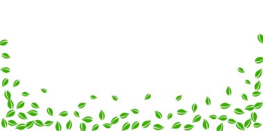 Düşen yeşil yapraklar. Taze çay rastgele yapraklar uçuşuyor