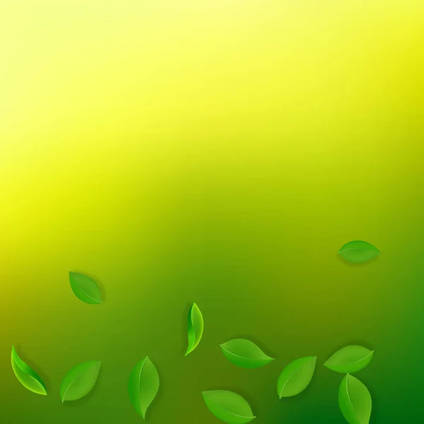 Vallende groene bladeren. Verse thee keurige bladeren vliegen — Stockvector