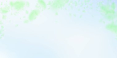 Yeşil çiçek yaprakları dökülüyor. Benzersiz romantik 